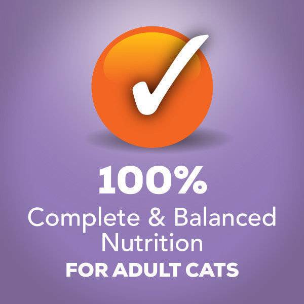 Friskies Prime Filets Turkey Dinner In Gravy Canned Cat Food