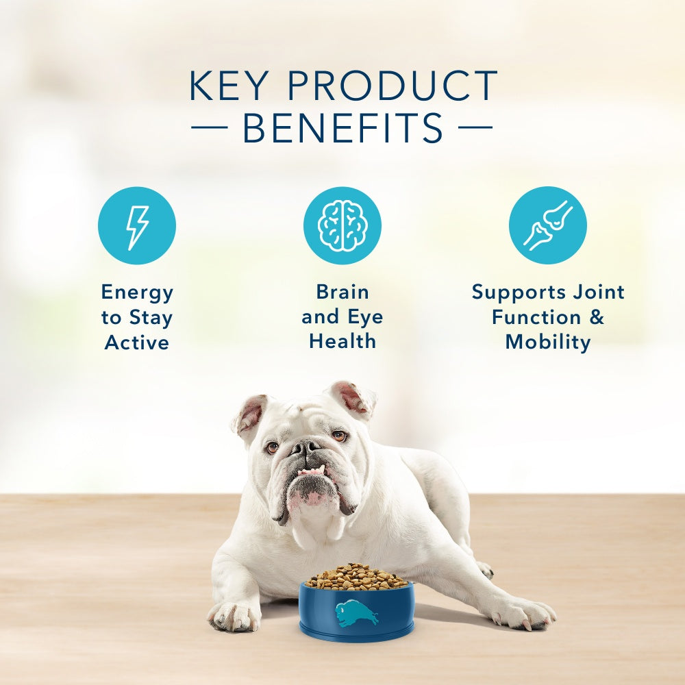 Blue Buffalo Basics Senior Skin & Stomach Care Turkey & Potato Recipe Dry Dog Food