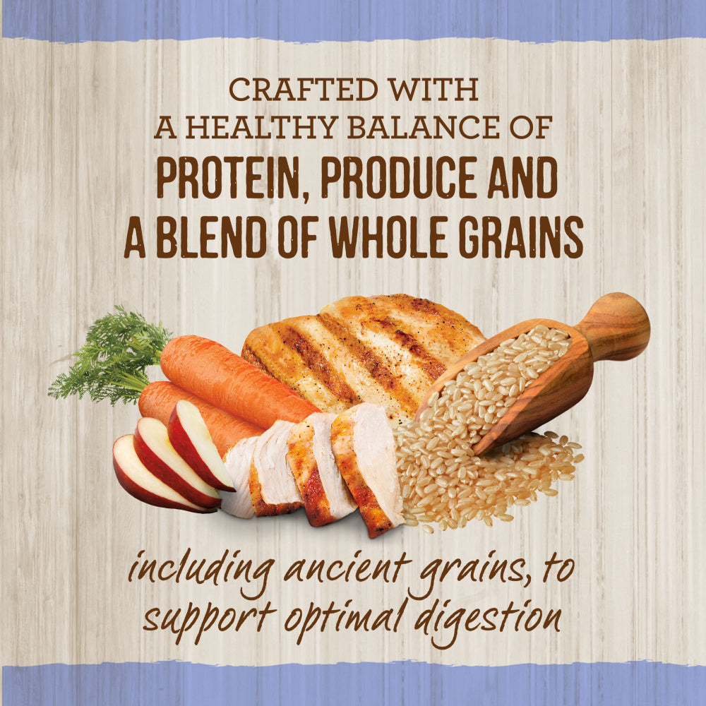 Merrick Healthy Grains Premium Dry Dog Food Wholesome And Natural Kibble For Healthy Digestion Puppy Recipe