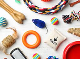 Cat Accessories