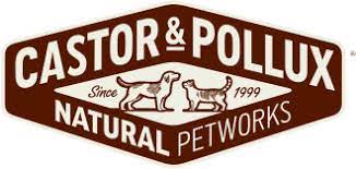 Castor and Pollux