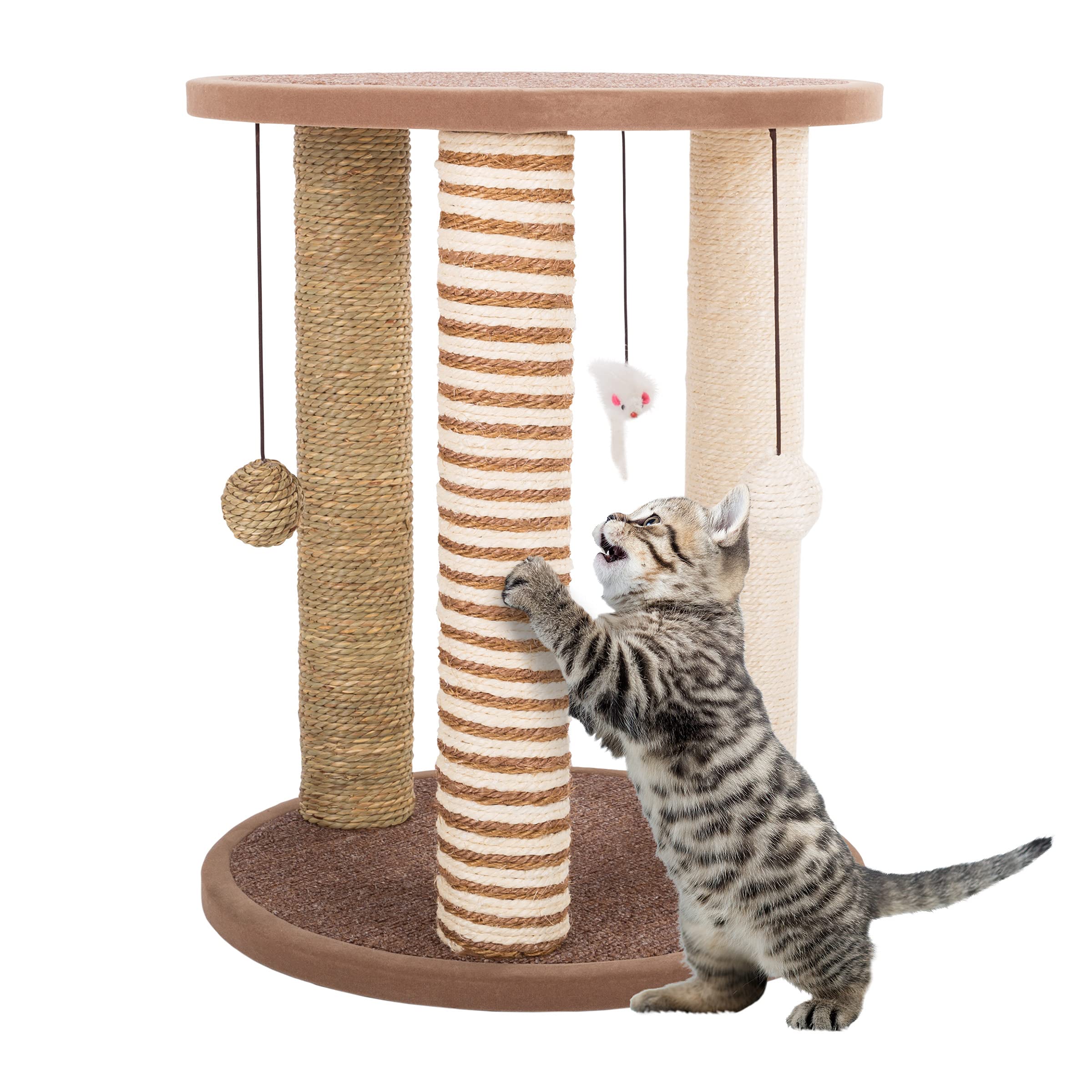 Cat - Trees, Condos & Scratchers
