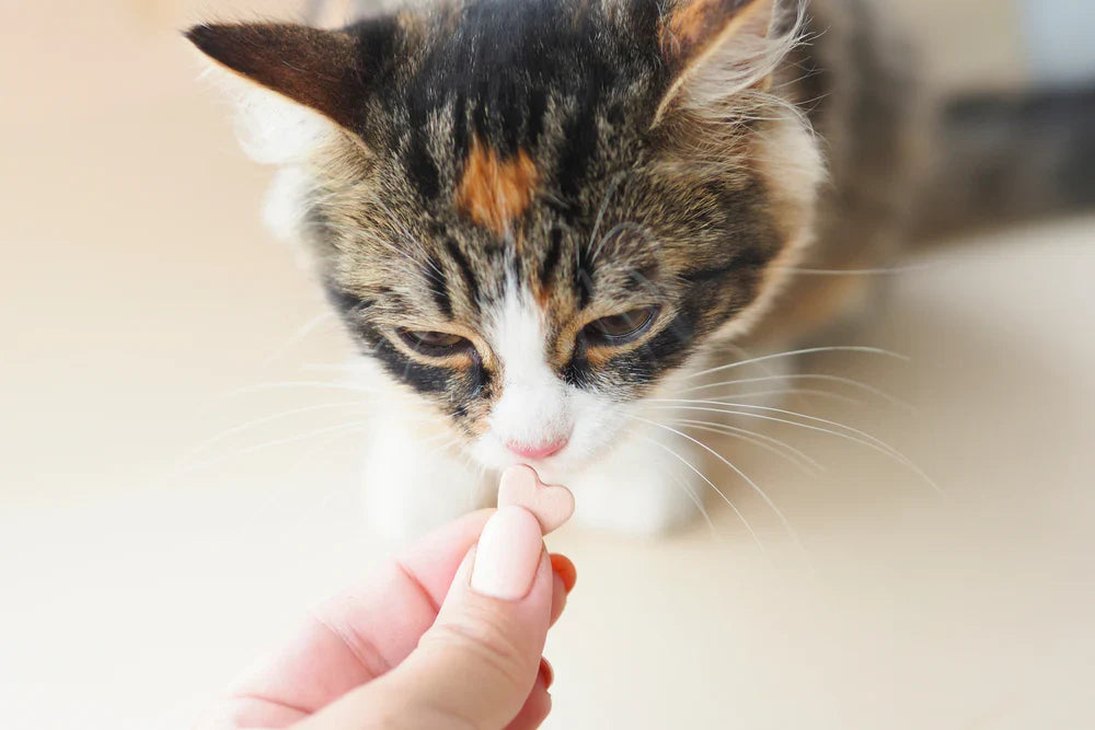 Cat - Vitamins & Supplements