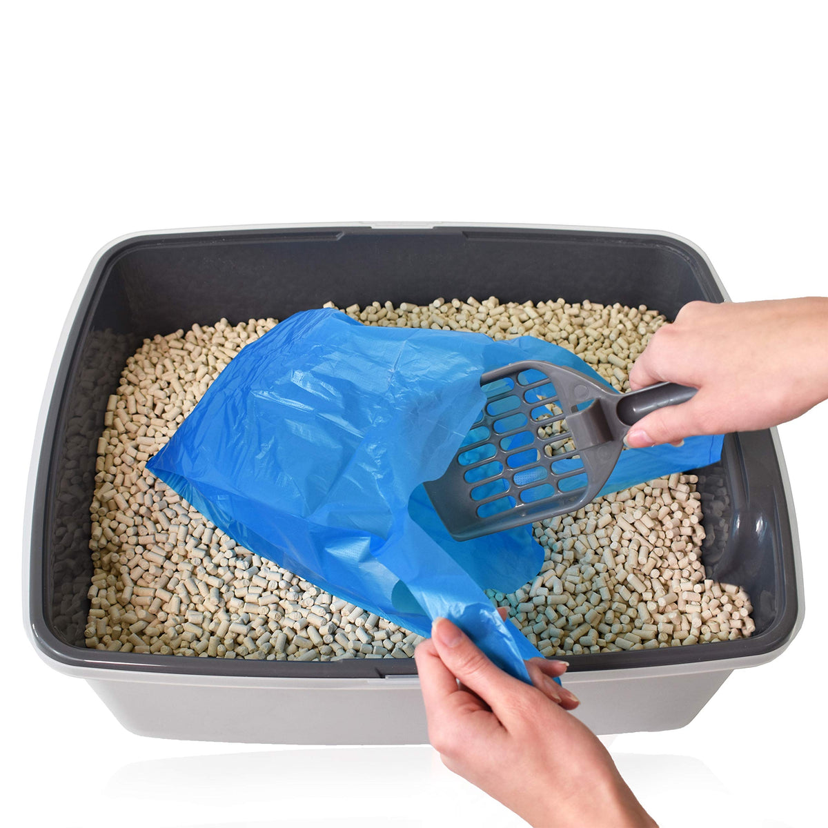 Cat - Waste Disposal