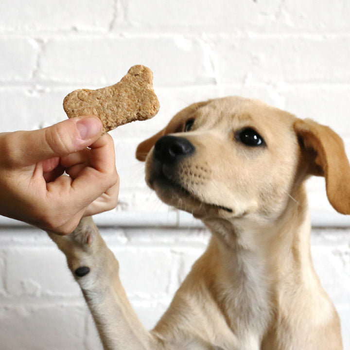 Dog Treats - Biscuits, Cookies & Crunchy Treats