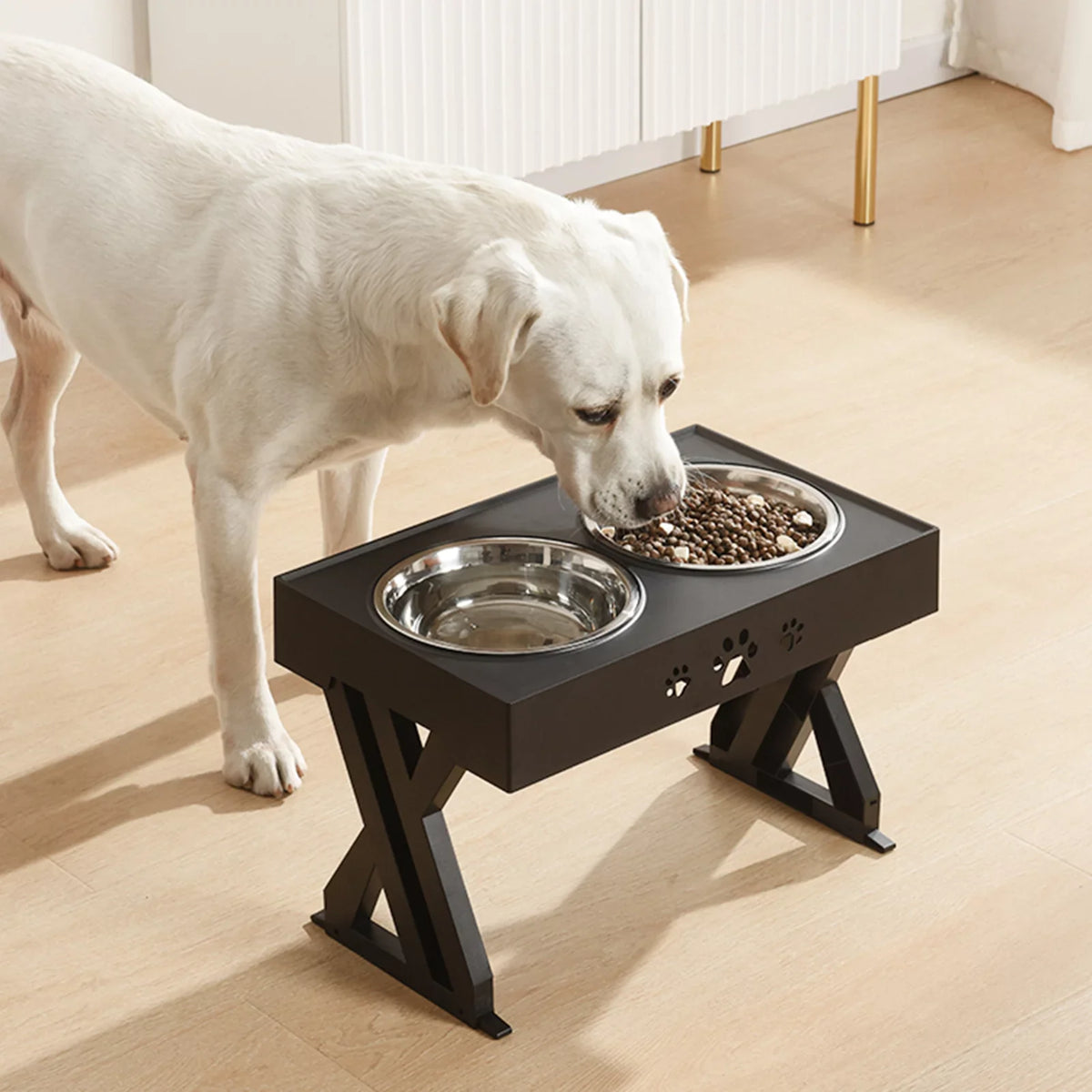 Dog - Bowls & Feeders