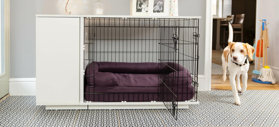 Dog - Crates, Pens & Gates
