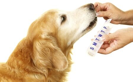 Dog - Vitamins & Supplements