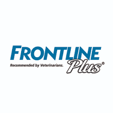 Frontline
