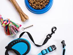 Dog Accessories