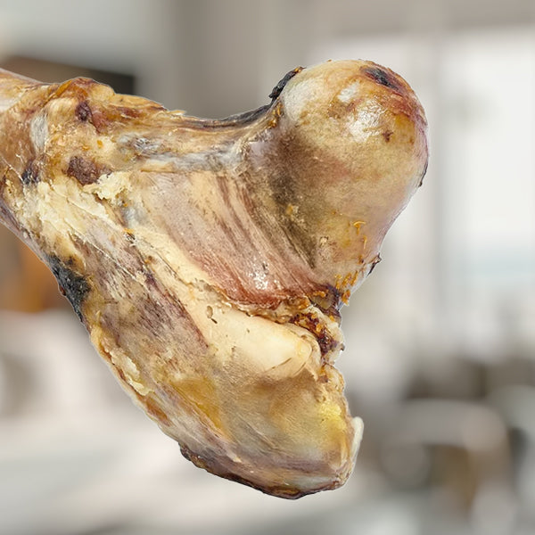 Bones