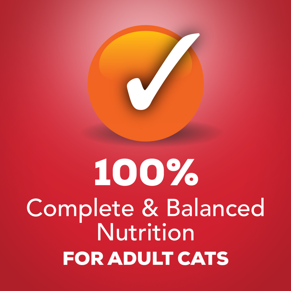 Friskies Shredded Beef Canned Cat Food