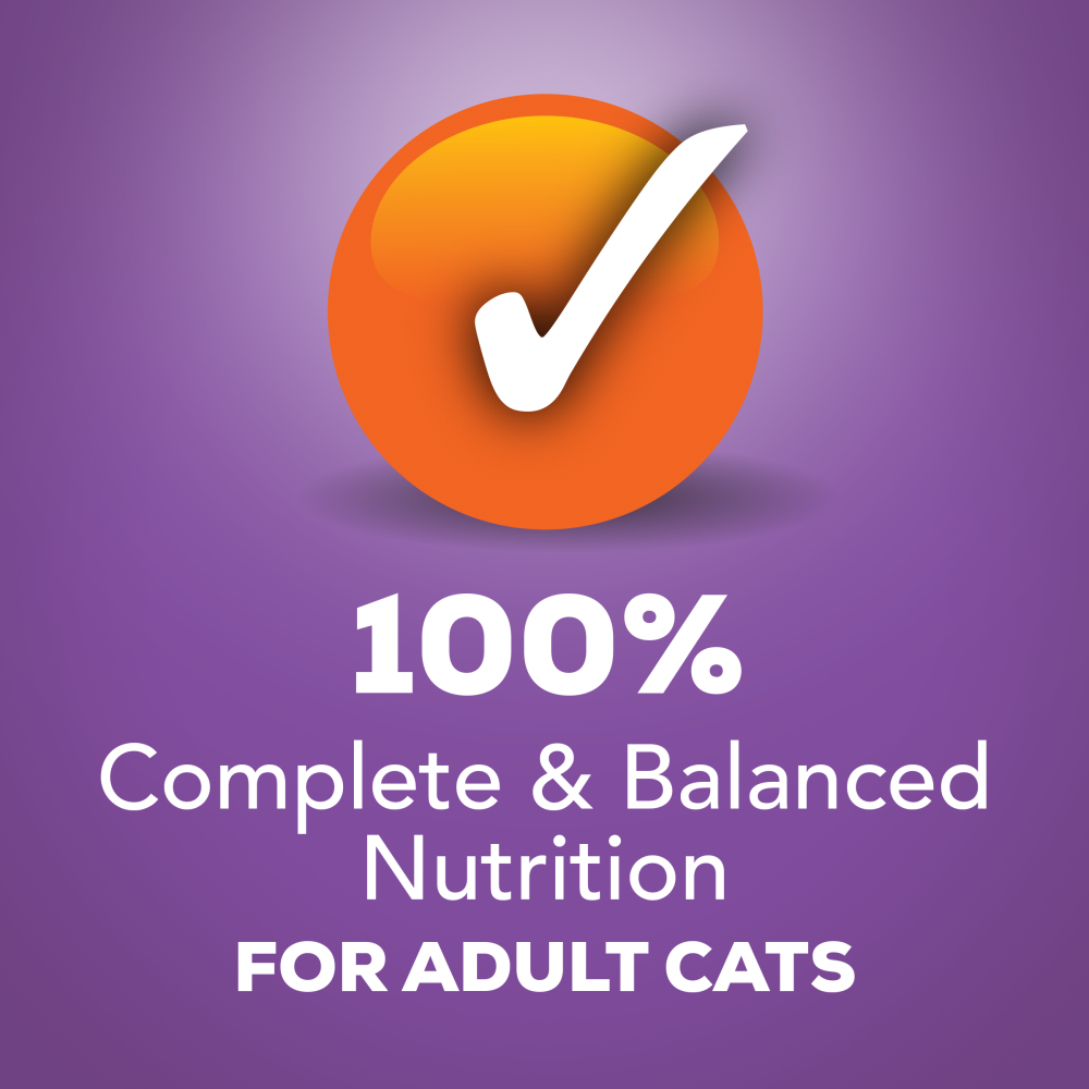 Friskies Savory Shreds Turkey And Cheese Dinner In Gravy Canned Cat Food