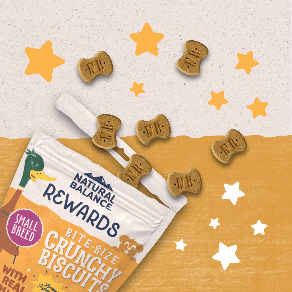 Natural Balance Rewards Crunchy Biscuits With Real Duck Dog Treats