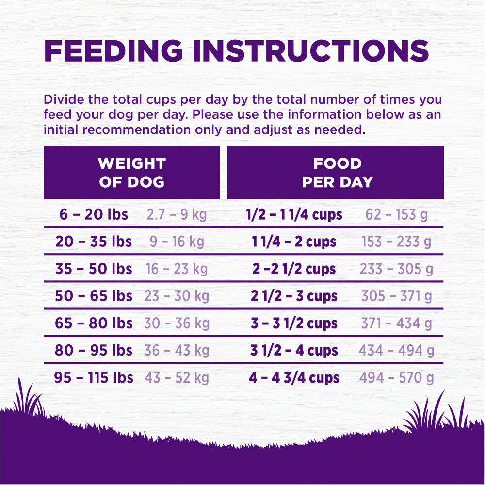Wellness Complete Health Natural Chicken Recipe Dry Dog Food