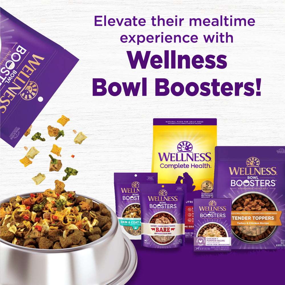 Wellness Complete Health Natural Puppy Chicken, Oatmeal and Salmon Dry Dog Food