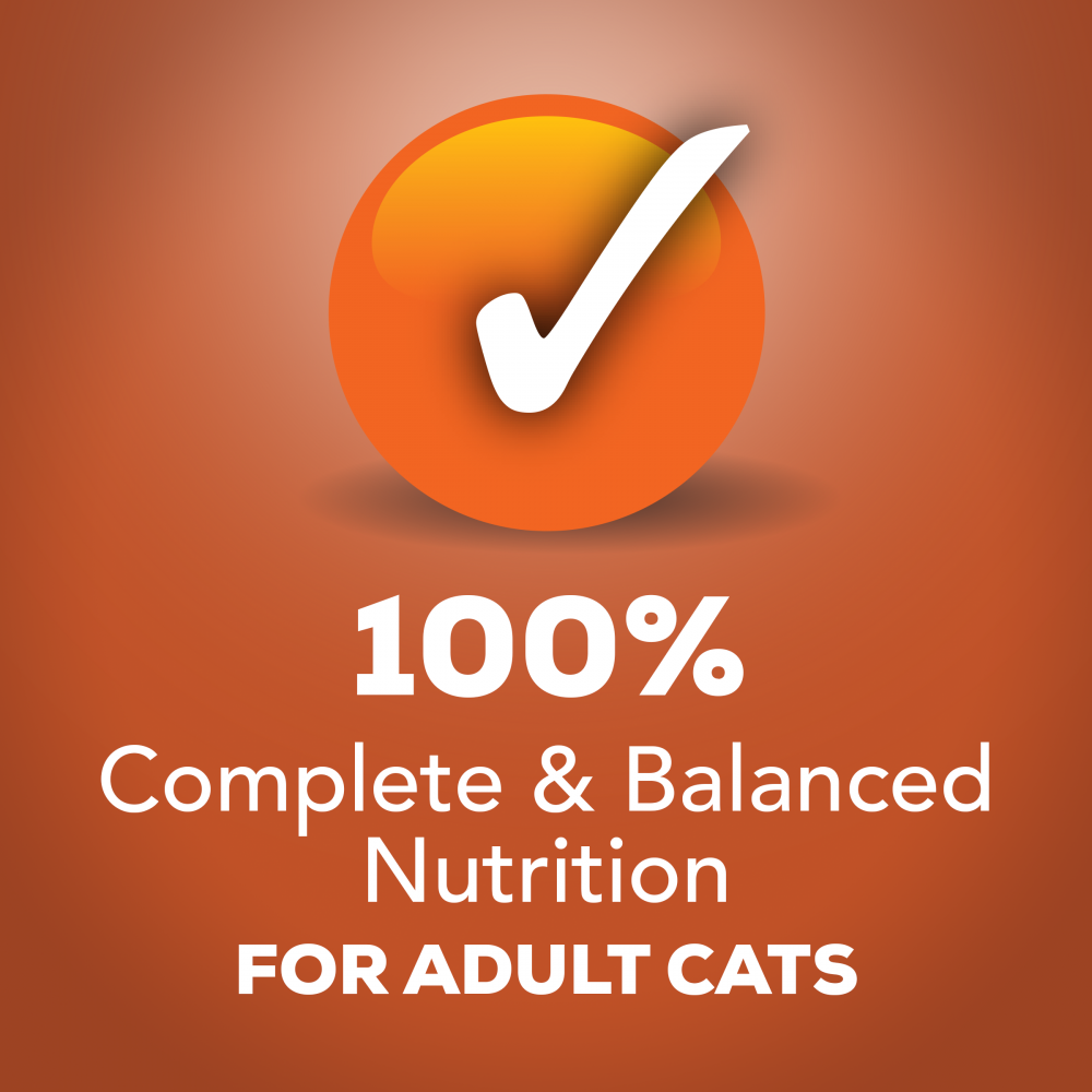 Friskies Selects Indoor Chunky Chicken and Turkey Casserole Canned Cat Food