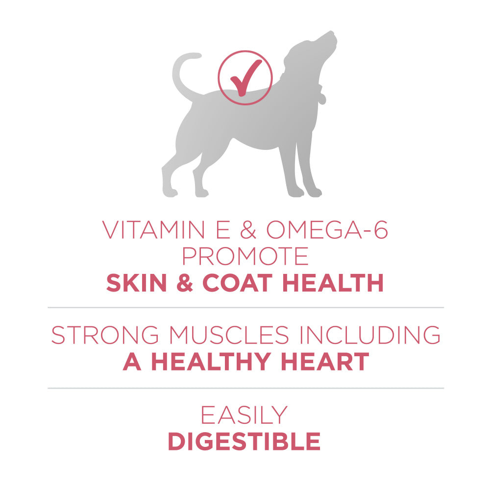 Purina ONE +Plus Skin & Coat Formula Dry Dog Food