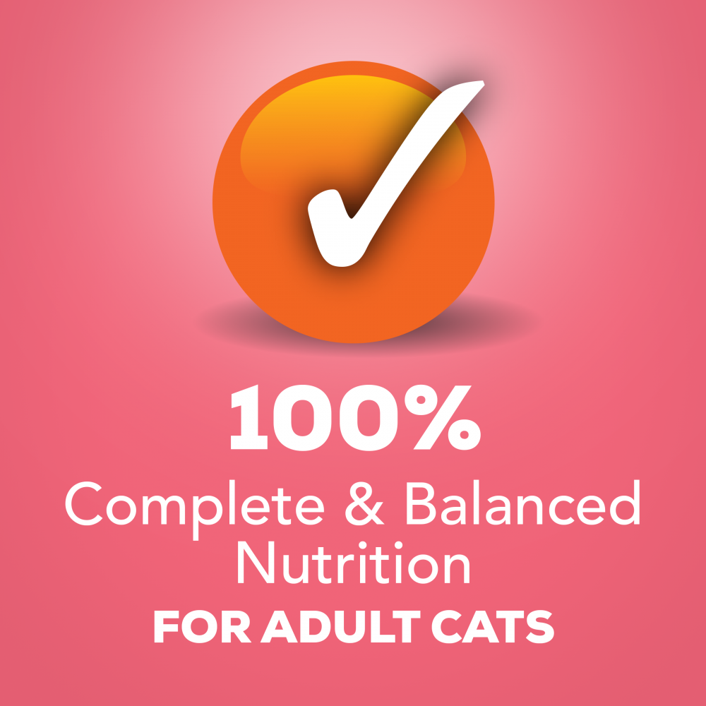 Friskies Savory Shreds Salmon in Sauce Canned Cat Food
