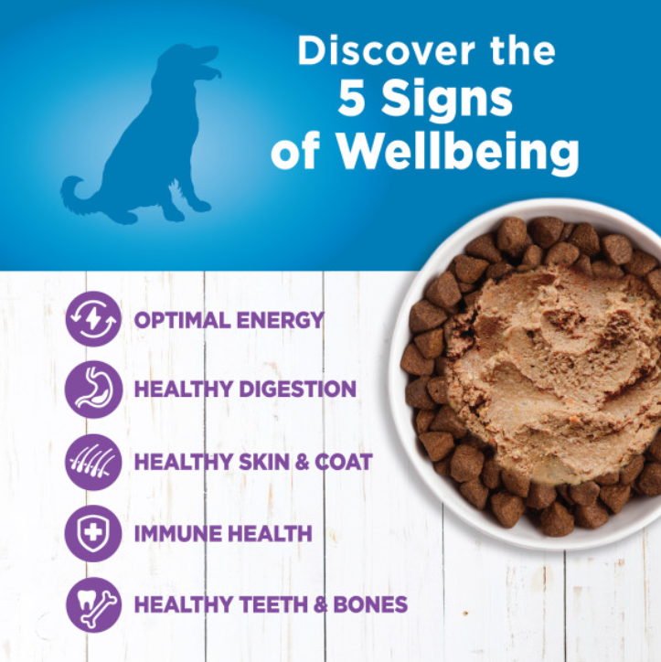 Wellness Simple Natural Limited Ingredient Diet Turkey and Potato Recipe Wet Canned Dog Food