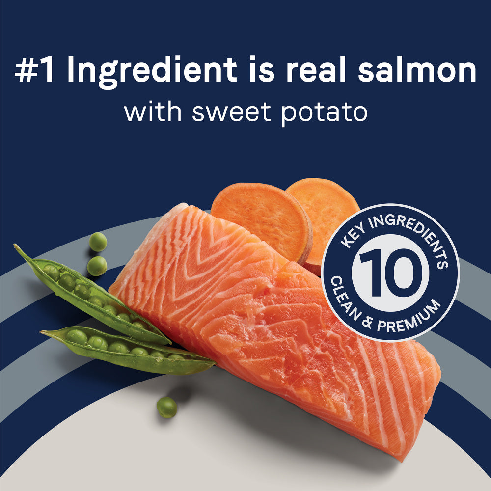 Canidae Pure Goodness Real Salmon & Sweet Potato Recipe Adult Dry Dog