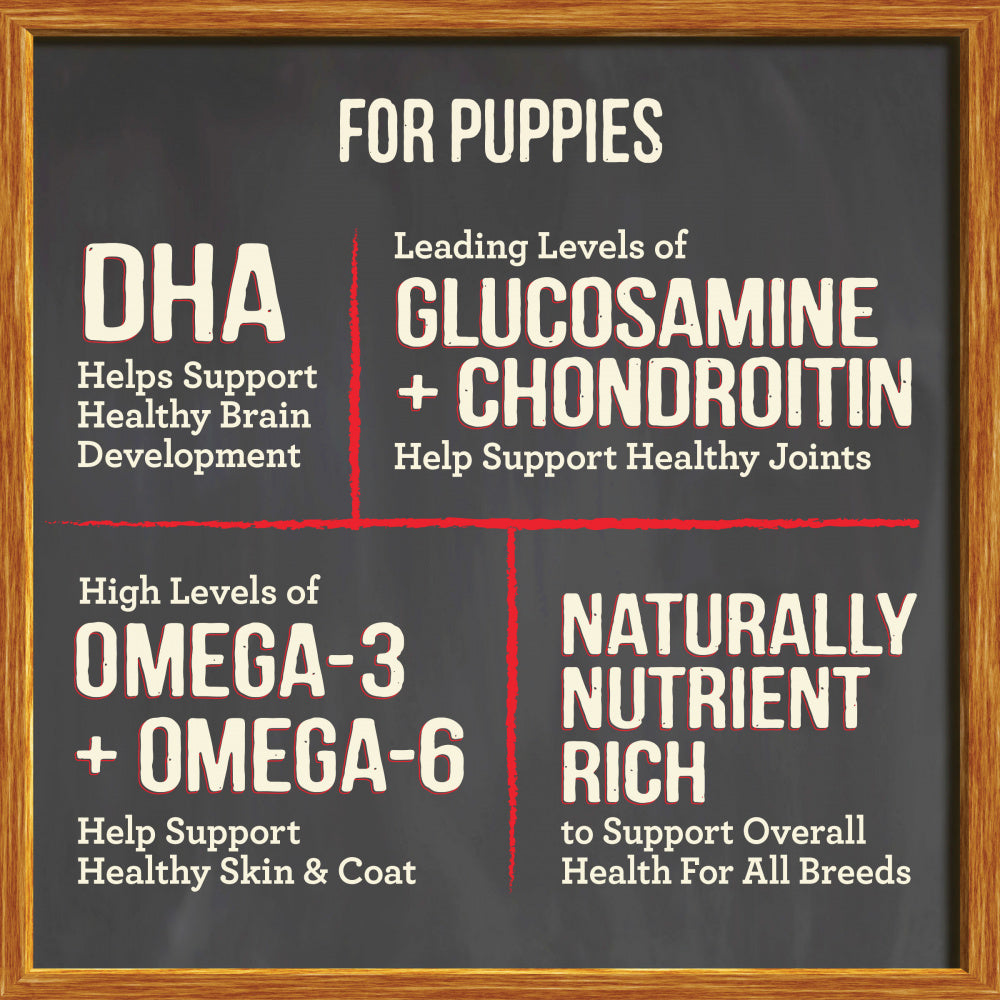Merrick Dry Puppy Food Real Chicken & Sweet Potato Grain Free Dog Food Recipe