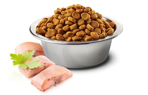 Farmina Ocean N&D Natural & Delicious Grain Free Mini Adult Herring & Orange Dry Dog Food