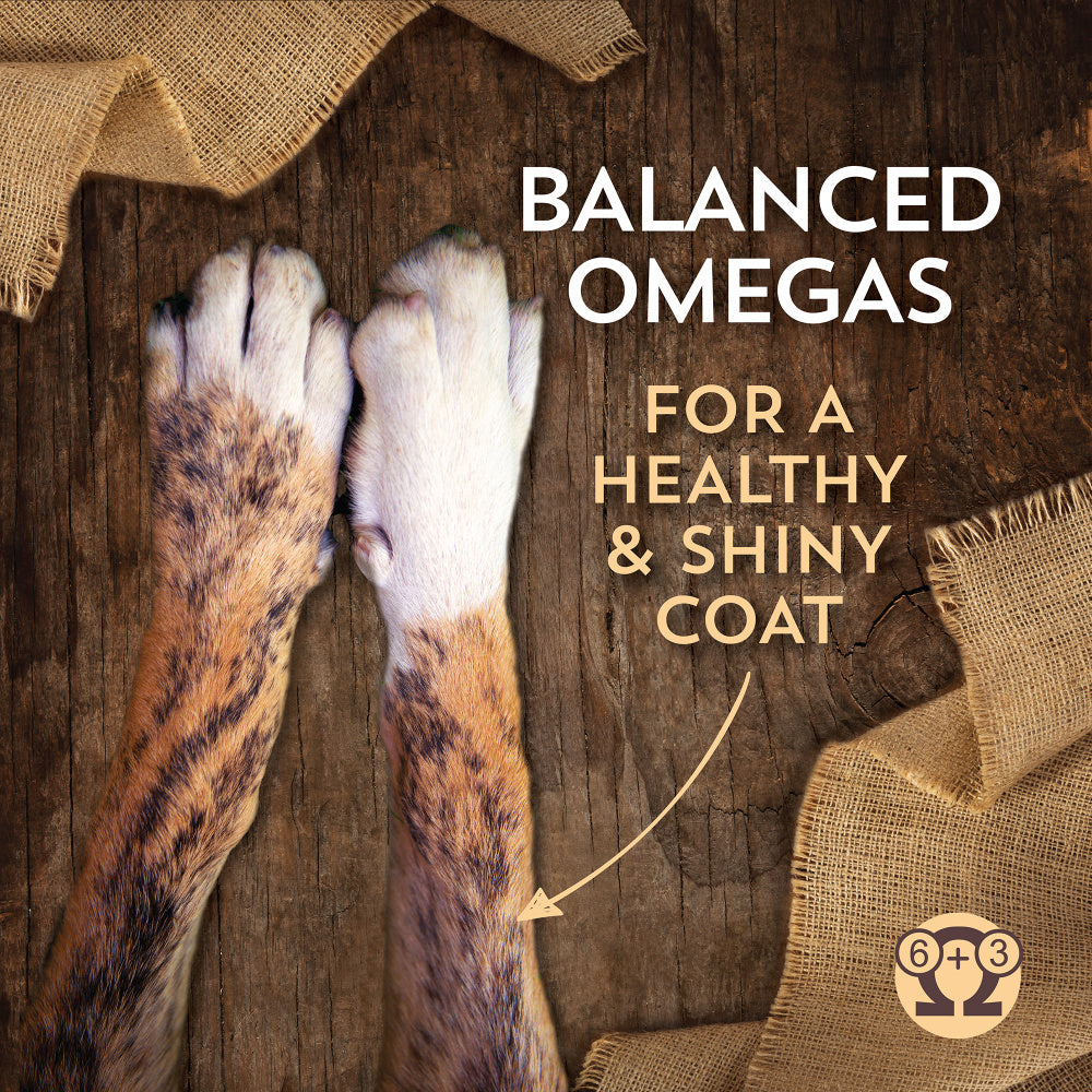 Wholesomes Chicken Meal & Rice Recipe Dry Dog Food