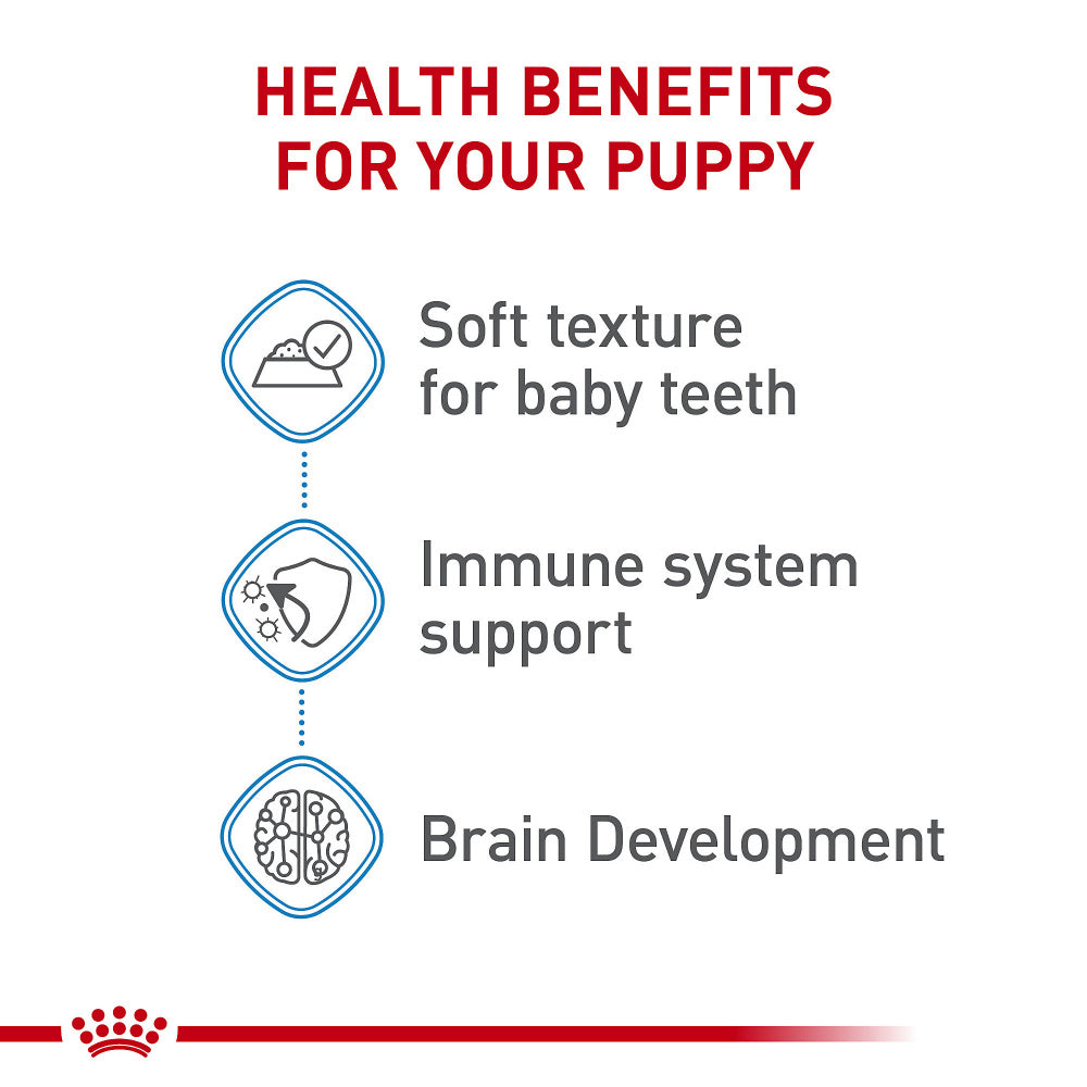 Royal Canin Size Health Nutrition Medium Puppy Thin Slices in Gravy Wet Dog Food