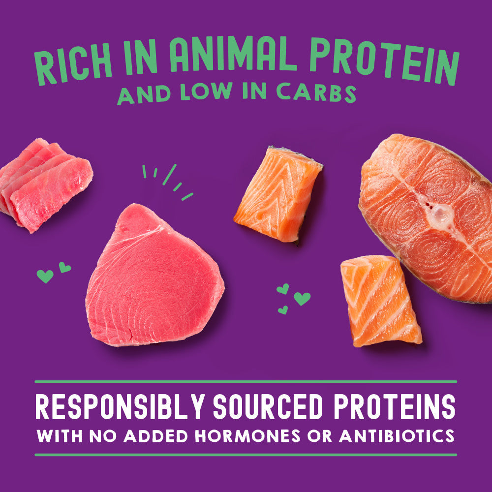 Stella & Chewy's Carnivore Cravings Morsels N Gravy Salmon & Tuna Recipe Pouch Cat Food