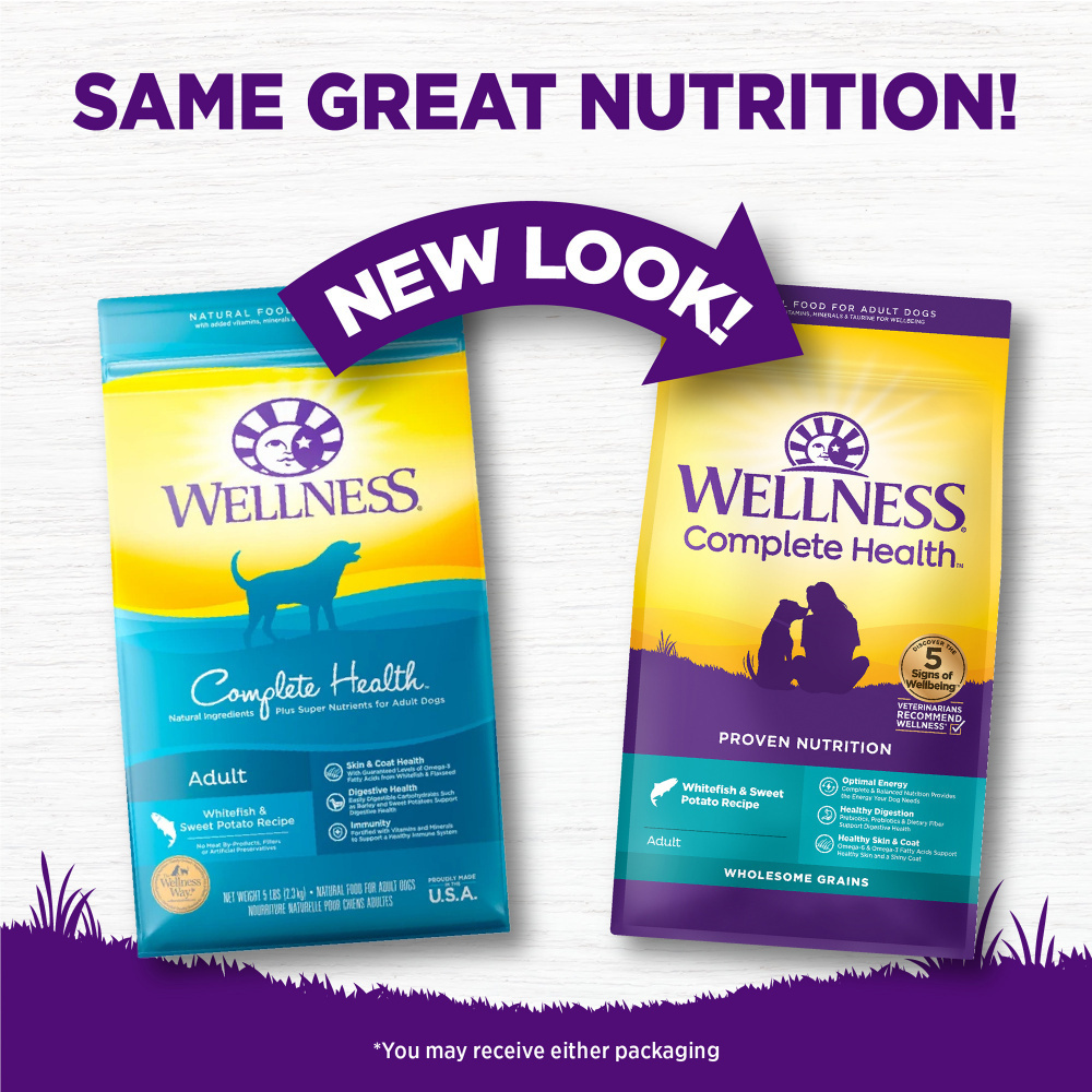 Wellness Complete Health Natural Adult Whitefish and Sweet Potato Recipe Dry Dog Food