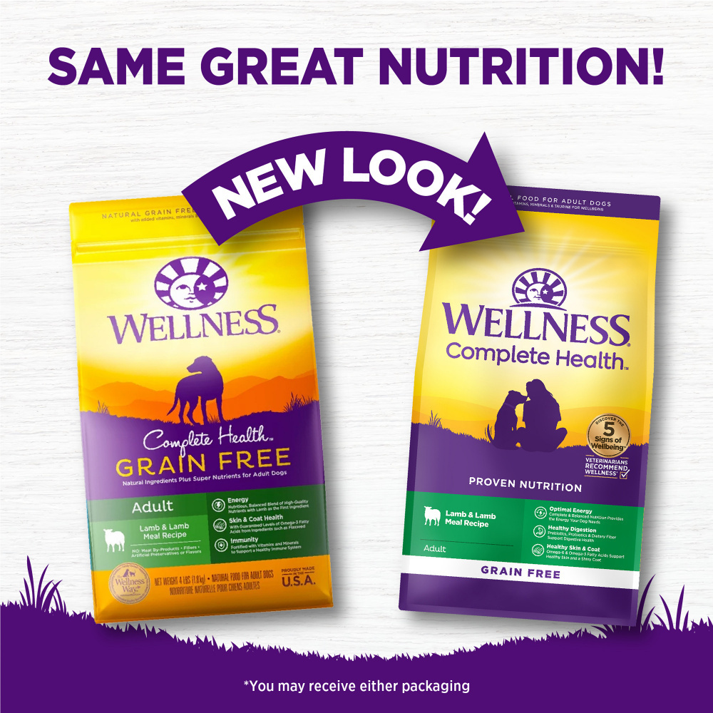 Wellness Grain-Free Complete Health Adult Lamb & Lamb Meal Recipe Dry Dog Food
