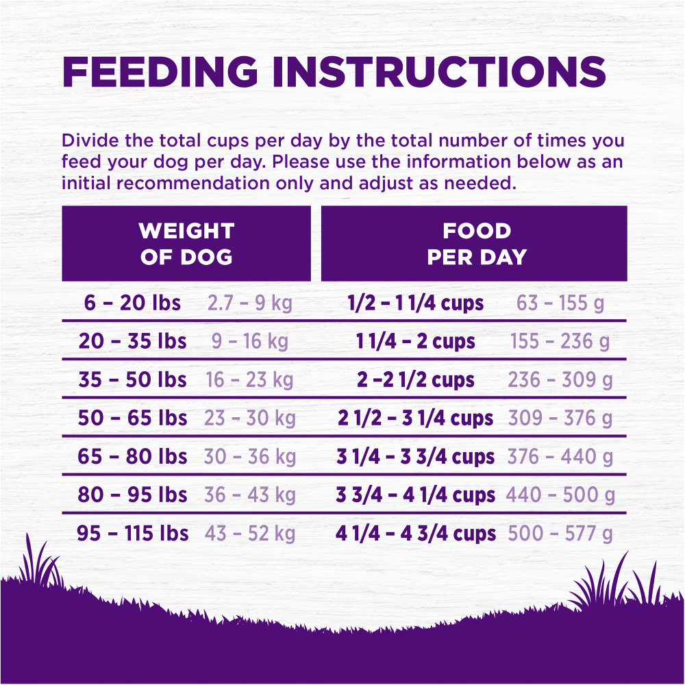 Wellness Grain-Free Complete Health Adult Lamb & Lamb Meal Recipe Dry Dog Food