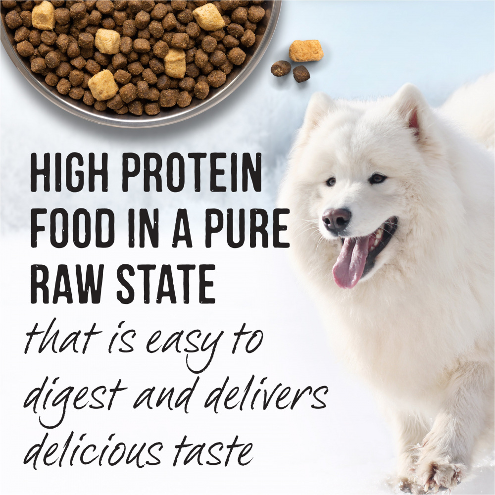 Merrick Backcountry Raw Infused Great Plains Red Recipe With Healthy Grains Freeze Dried Dog Food