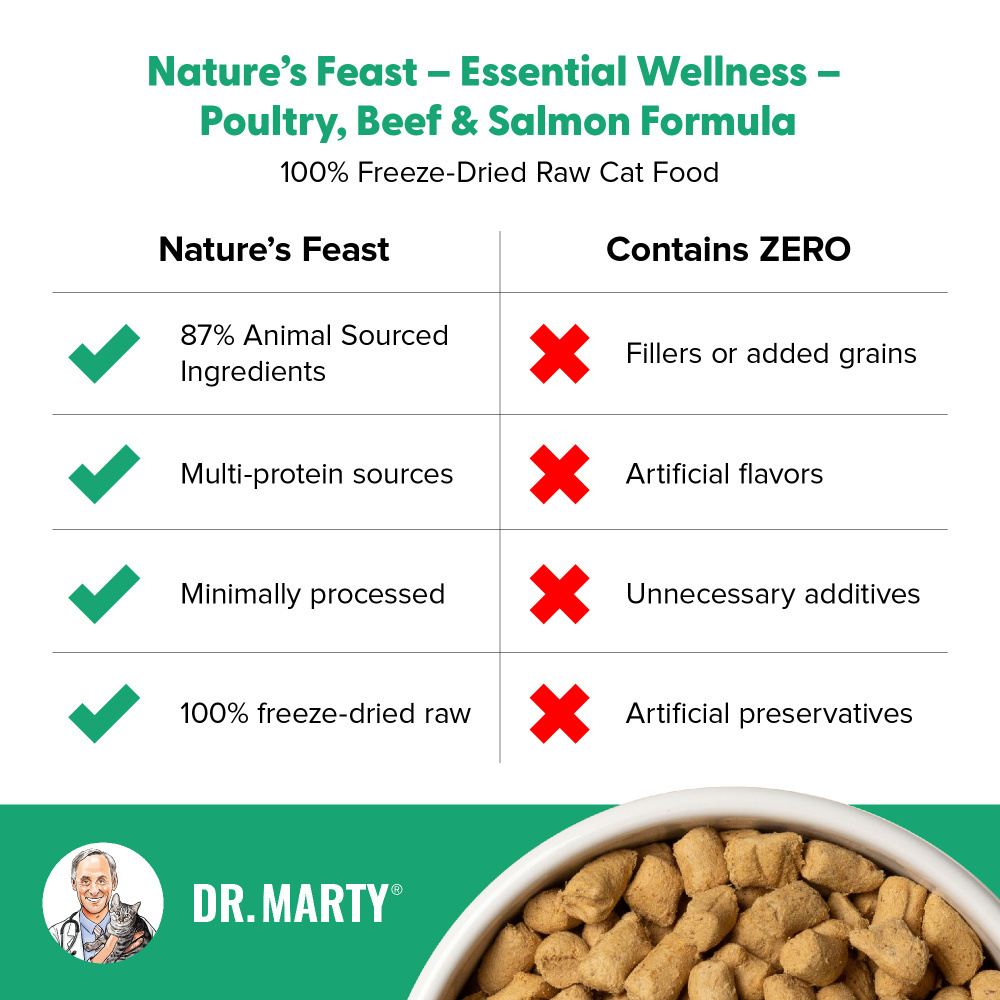 Dr. Marty Nature's Feast Essential Wellness Beef, Salmon and Poultry Freeze Dried Raw Cat Food